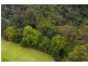 497 Mount Warning Road,, Mount Warning NSW 2484