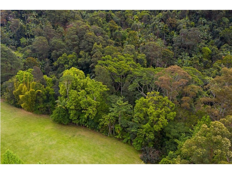 497 Mount Warning Road,, Mount Warning NSW 2484