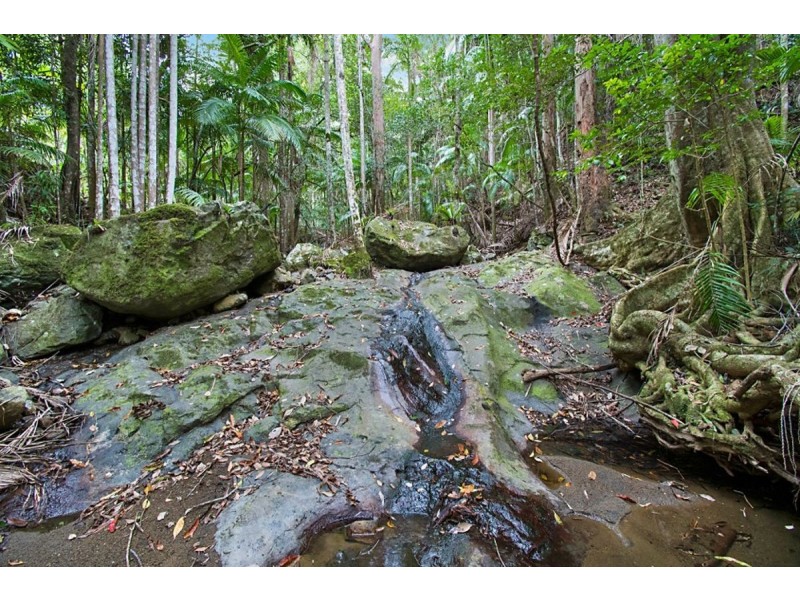 497 Mount Warning Road,, Mount Warning NSW 2484