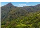 497 Mount Warning Road,, Mount Warning NSW 2484