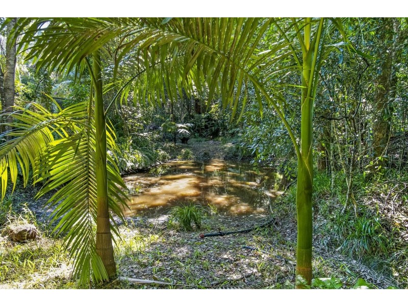 7 Dixons Road, Burringbar NSW 2483