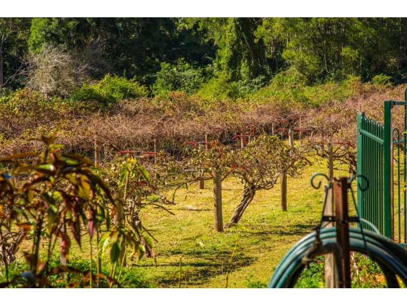 361 Huonbrook Road, Huonbrook NSW 2482