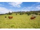 Lot 8.  518 Myocum Road, Myocum NSW 2481