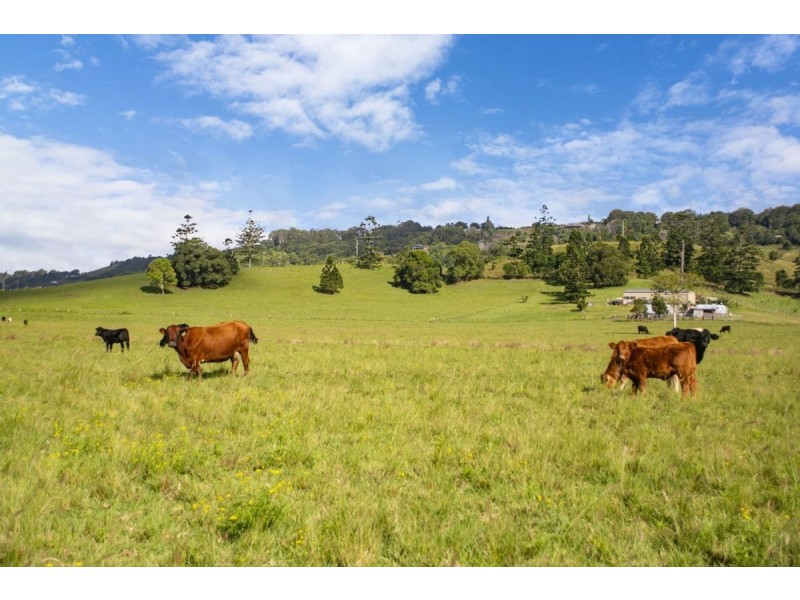 Lot 8.  518 Myocum Road, Myocum NSW 2481