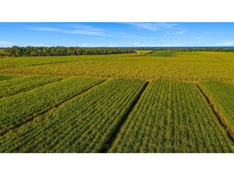 139 Patchs Beach Road, Patchs Beach NSW 2478