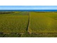 139 Patchs Beach Road, Patchs Beach NSW 2478