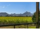 8336 Tweed Valley Way, Condong NSW 2484
