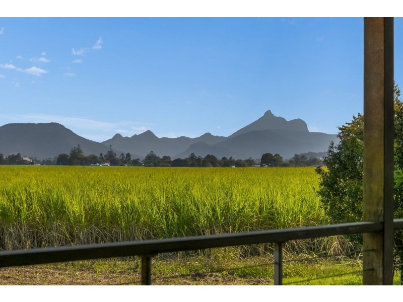 8336 Tweed Valley Way, Condong NSW 2484
