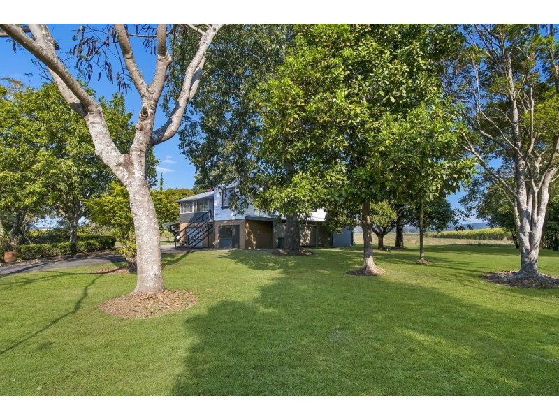 8336 Tweed Valley Way, Condong NSW 2484