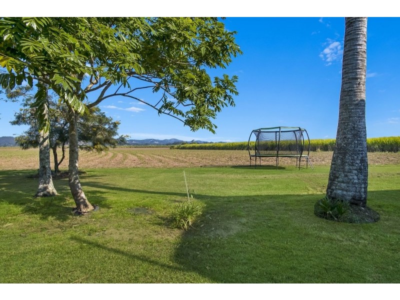 8336 Tweed Valley Way, Condong NSW 2484