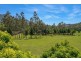 1787 Kyogle Road, Uki NSW 2484