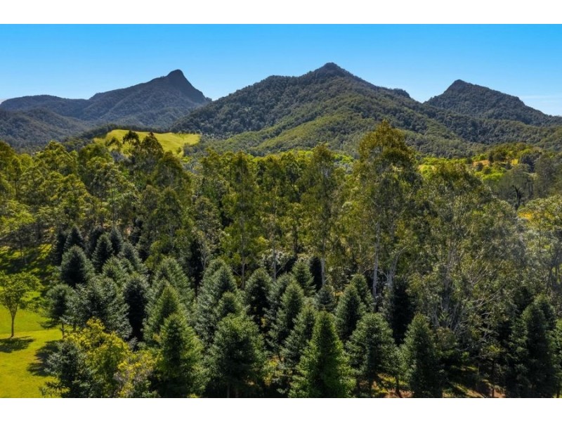 1787 Kyogle Road, Uki NSW 2484