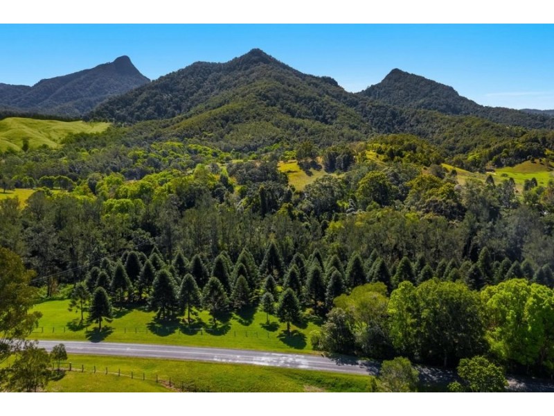 1787 Kyogle Road, Uki NSW 2484