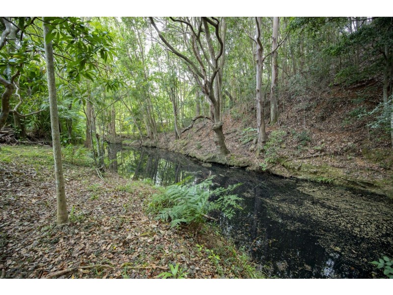 273 Crabbes Creek Road, Crabbes Creek NSW 2483