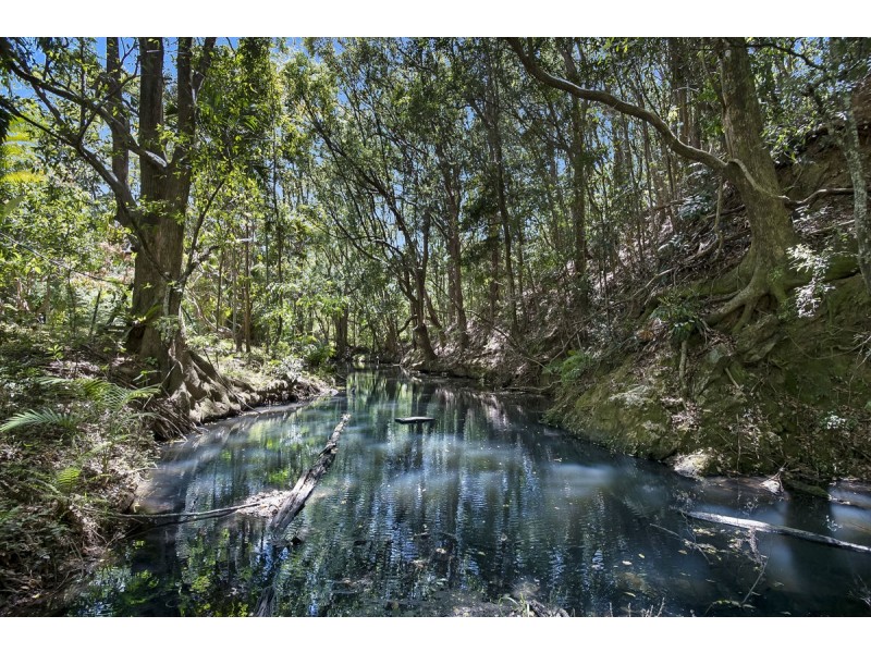 273 Crabbes Creek Road, Crabbes Creek NSW 2483