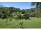 273 Crabbes Creek Road, Crabbes Creek NSW 2483