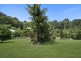 273 Crabbes Creek Road, Crabbes Creek NSW 2483