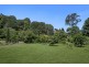 273 Crabbes Creek Road, Crabbes Creek NSW 2483