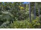 273 Crabbes Creek Road, Crabbes Creek NSW 2483