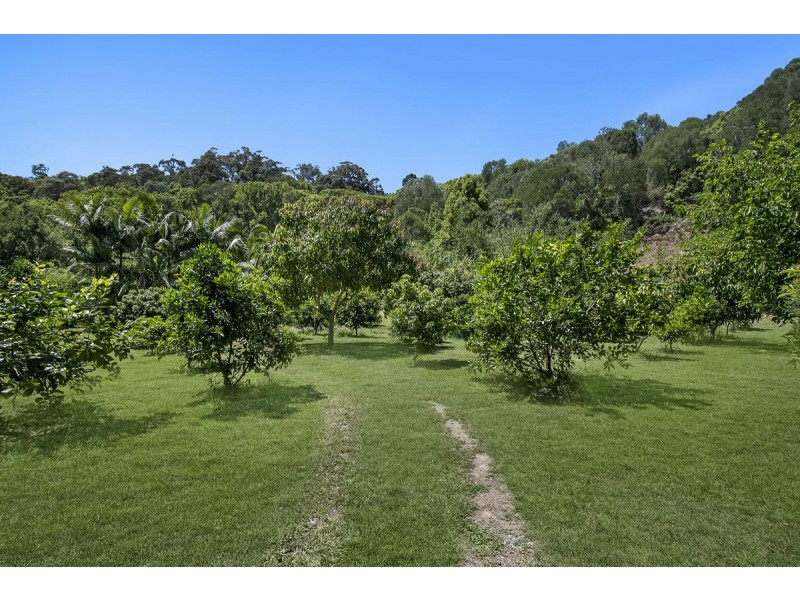 273 Crabbes Creek Road, Crabbes Creek NSW 2483