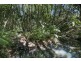 273 Crabbes Creek Road, Crabbes Creek NSW 2483