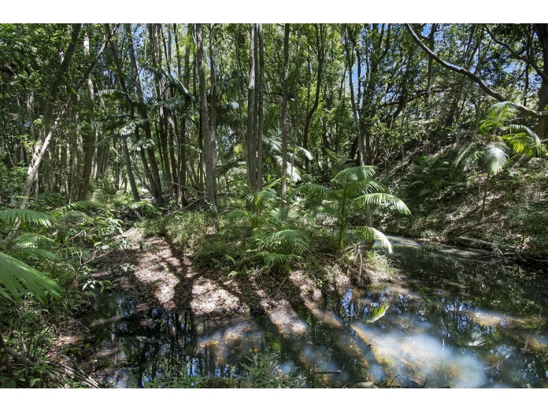 273 Crabbes Creek Road, Crabbes Creek NSW 2483