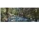 273 Crabbes Creek Road, Crabbes Creek NSW 2483
