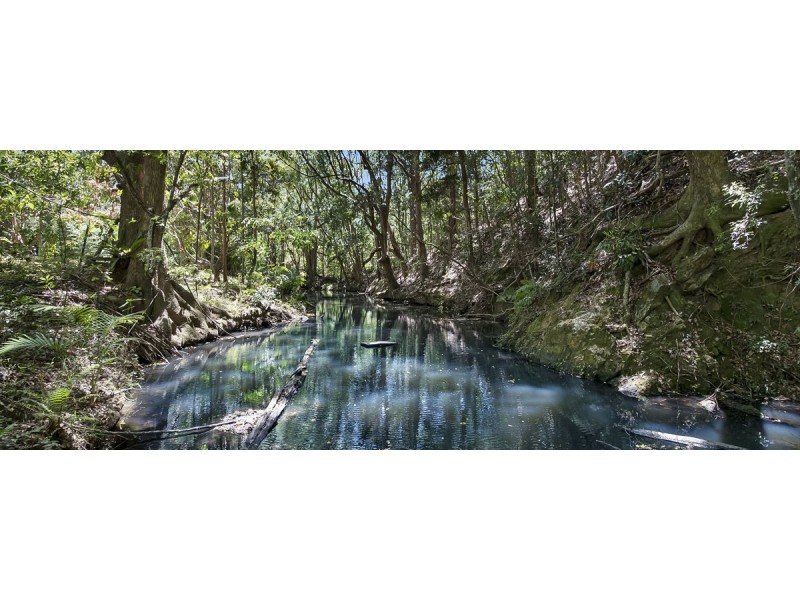 273 Crabbes Creek Road, Crabbes Creek NSW 2483