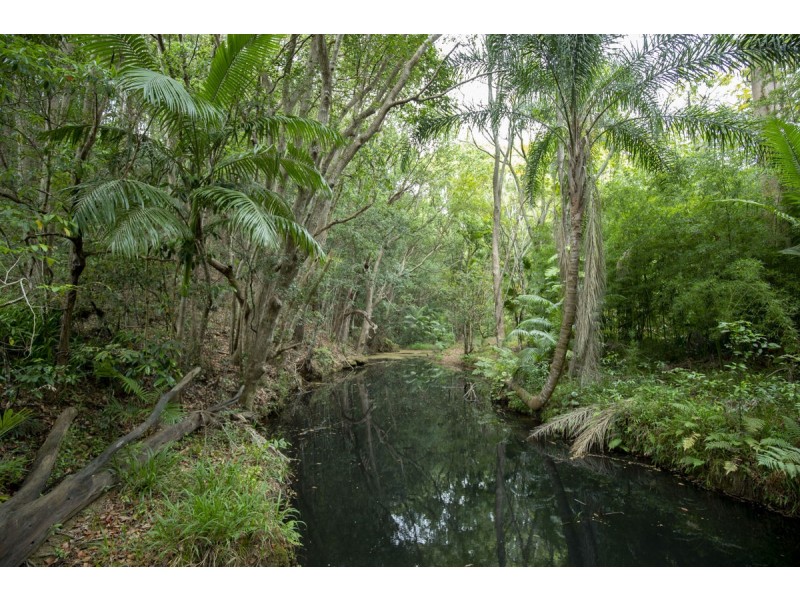 273 Crabbes Creek Road, Crabbes Creek NSW 2483