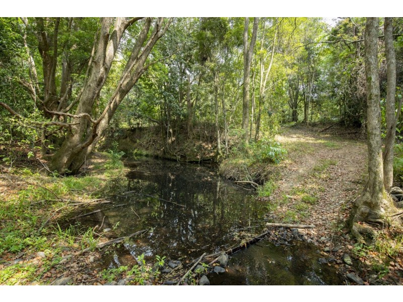 273 Crabbes Creek Road, Crabbes Creek NSW 2483
