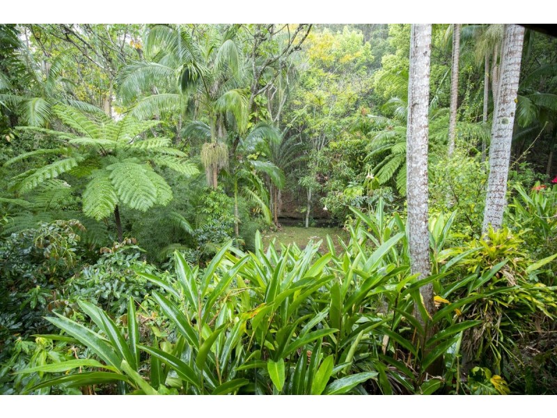 273 Crabbes Creek Road, Crabbes Creek NSW 2483