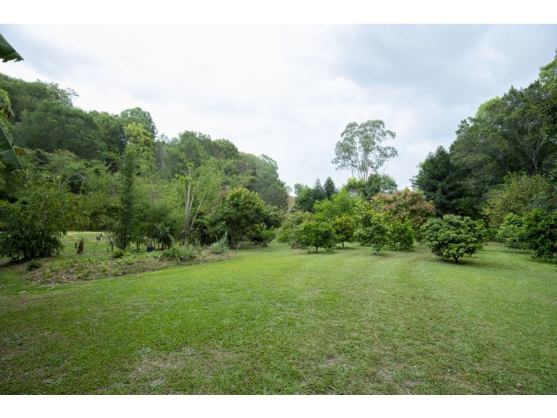 273 Crabbes Creek Road, Crabbes Creek NSW 2483