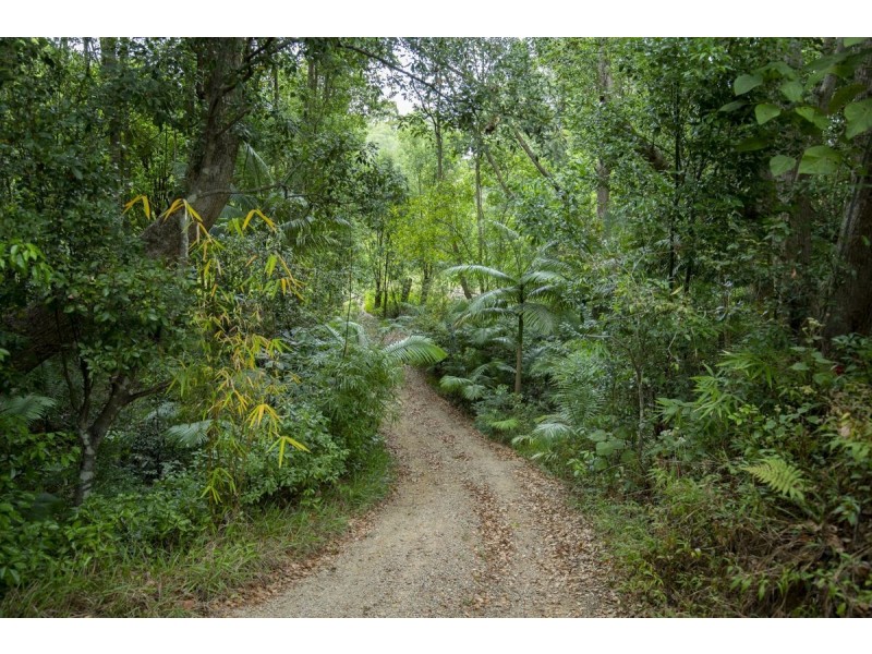 273 Crabbes Creek Road, Crabbes Creek NSW 2483