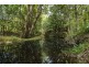 273 Crabbes Creek Road, Crabbes Creek NSW 2483