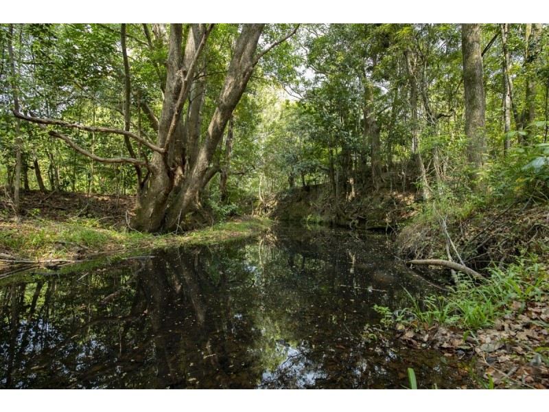 273 Crabbes Creek Road, Crabbes Creek NSW 2483