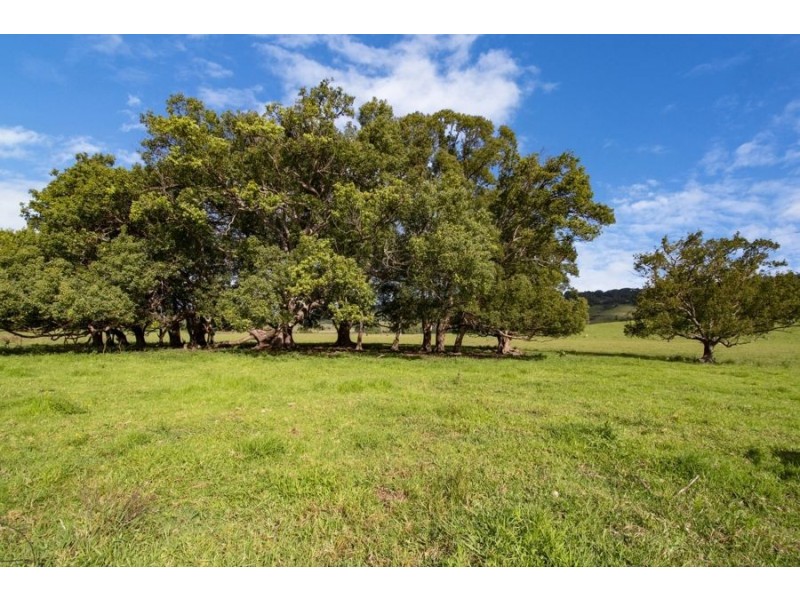 Lot 7 518 Myocum Rd, Myocum NSW 2481