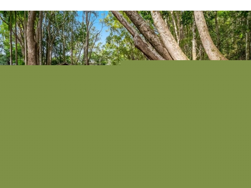 781 Upper Burringbar Rd, Upper Burringbar NSW 2483