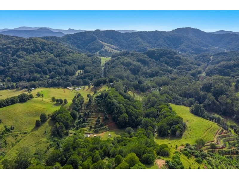 781 Upper Burringbar Rd, Upper Burringbar NSW 2483