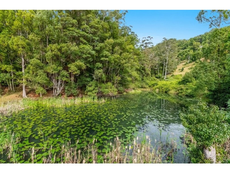 781 Upper Burringbar Rd, Upper Burringbar NSW 2483