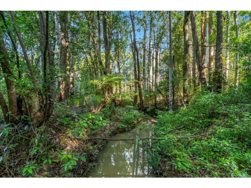 21 Wallaby Court, Stokers Siding NSW 2484