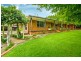 40 Tyringham Road, Dorrigo NSW 2453
