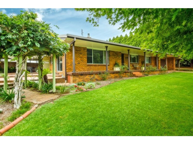 40 Tyringham Road, Dorrigo NSW 2453