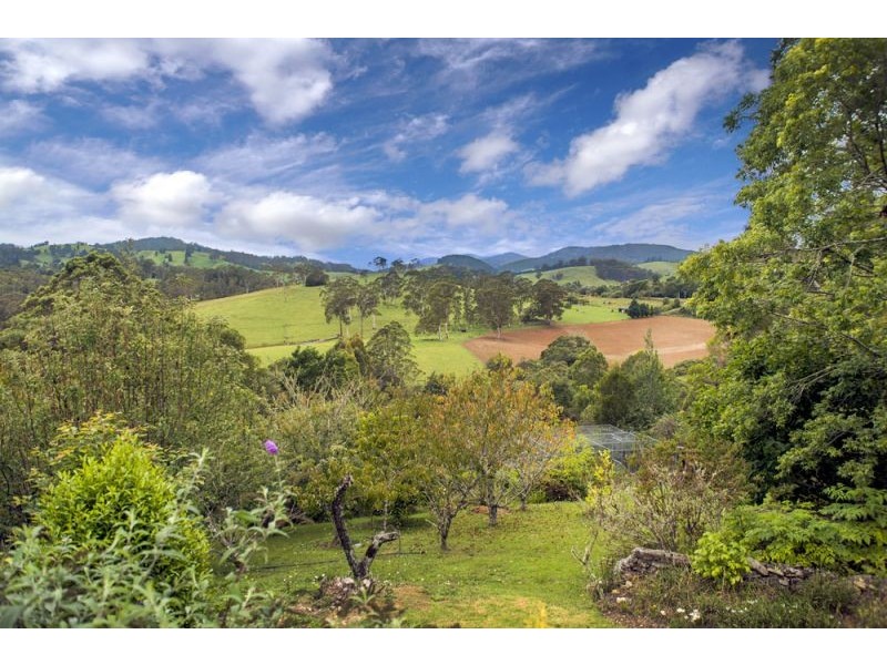 90 Rodgers Road East, Megan, Dorrigo NSW 2453