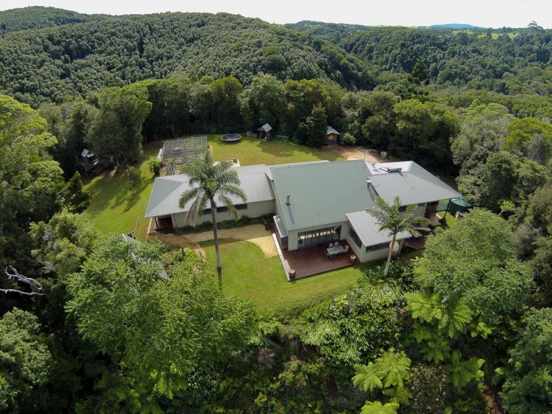 240 Mountain Top Road, Dorrigo NSW 2453