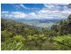 240 Mountain Top Road, Dorrigo NSW 2453