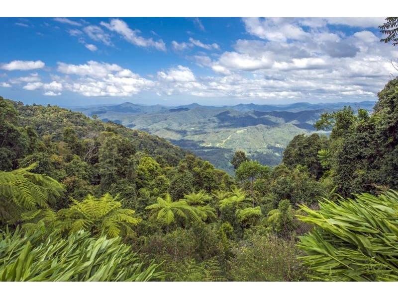 240 Mountain Top Road, Dorrigo NSW 2453