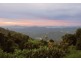 240 Mountain Top Road, Dorrigo NSW 2453