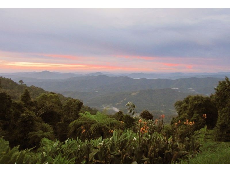 240 Mountain Top Road, Dorrigo NSW 2453