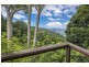240 Mountain Top Road, Dorrigo NSW 2453