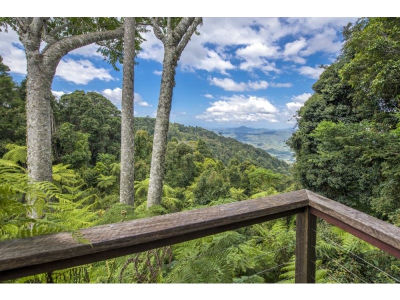 240 Mountain Top Road, Dorrigo NSW 2453
